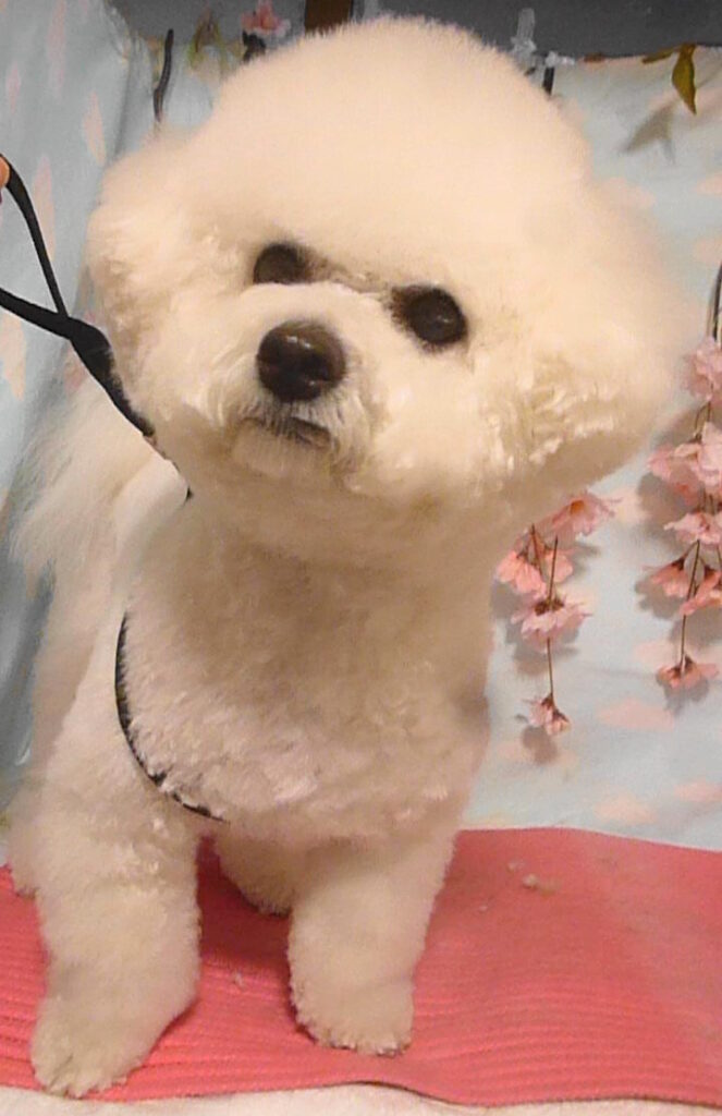 ふうたくん