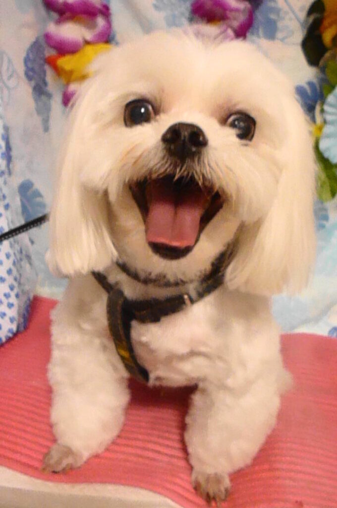 幸太郎くん＆希幸ちゃん