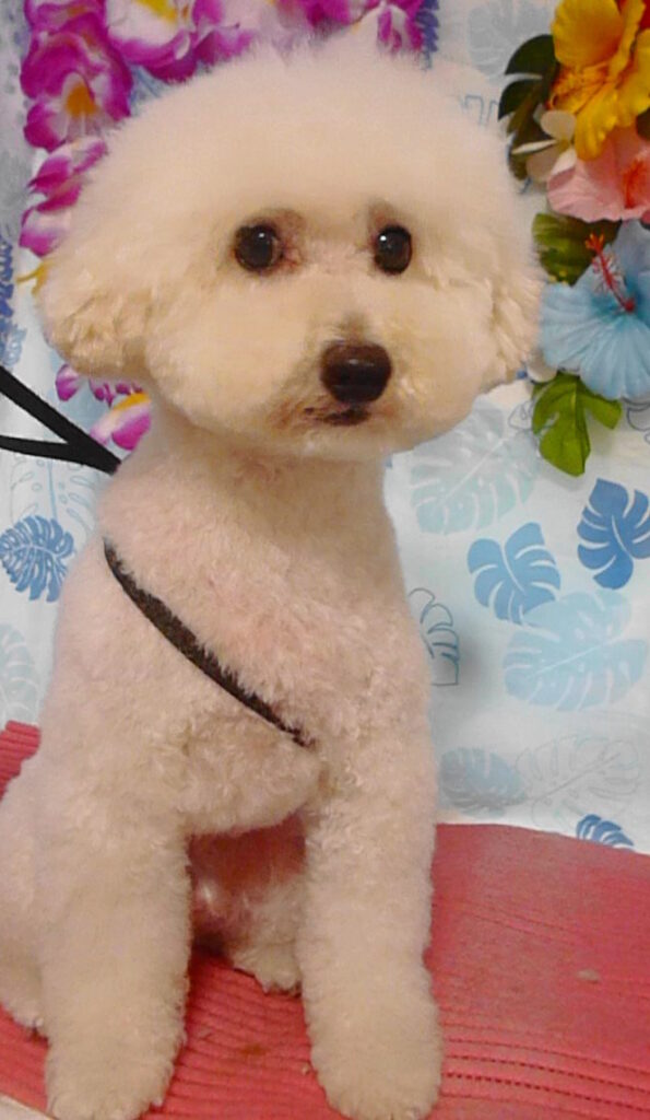 レオくん＆パンチくん