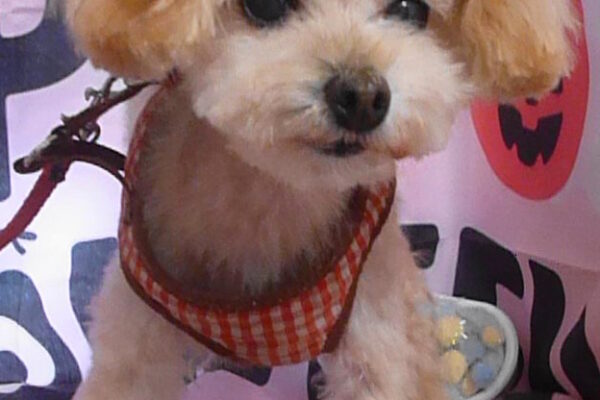 ノアちゃん＆リンちゃん