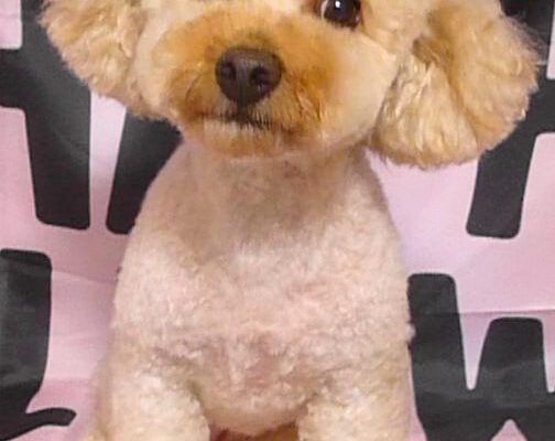 モナちゃん＆ウィくん