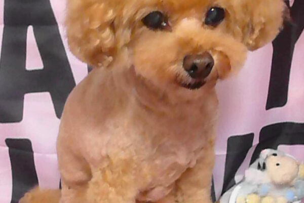 ナルくん＆アオちゃん