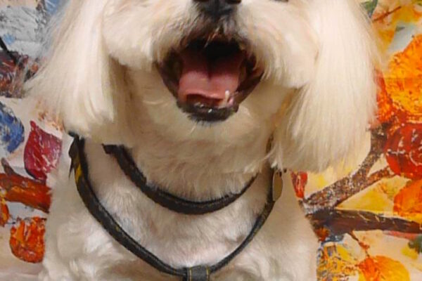 幸太郎くん＆希幸ちゃん