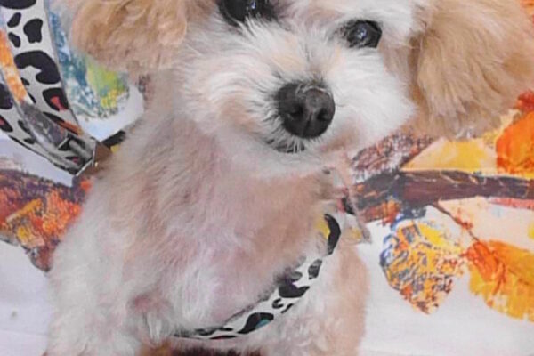 ノアちゃん＆リンちゃん