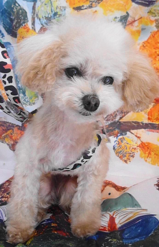 ノアちゃん＆リンちゃん