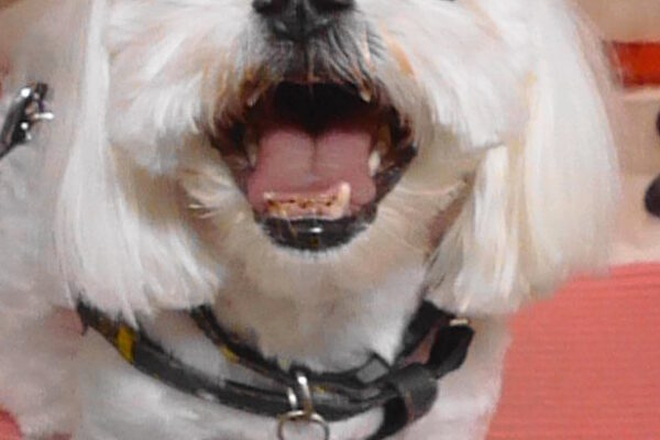 幸太郎くん＆希幸ちゃん