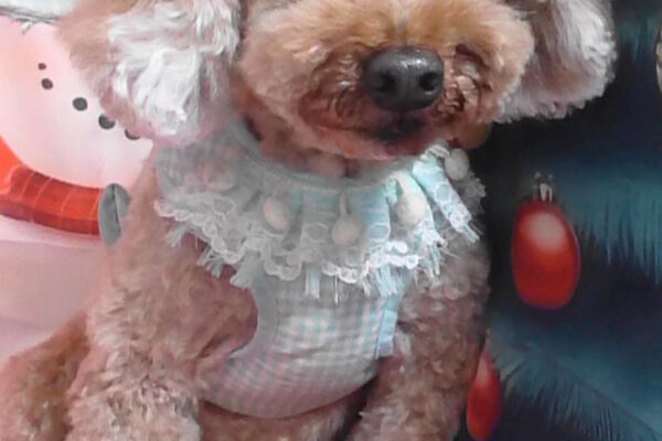 ベベくん＆リリちゃん