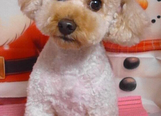 モナちゃん＆ウィくん