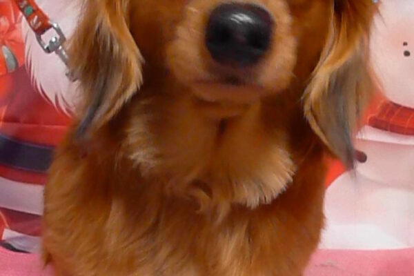 ララちゃん＆リリちゃん