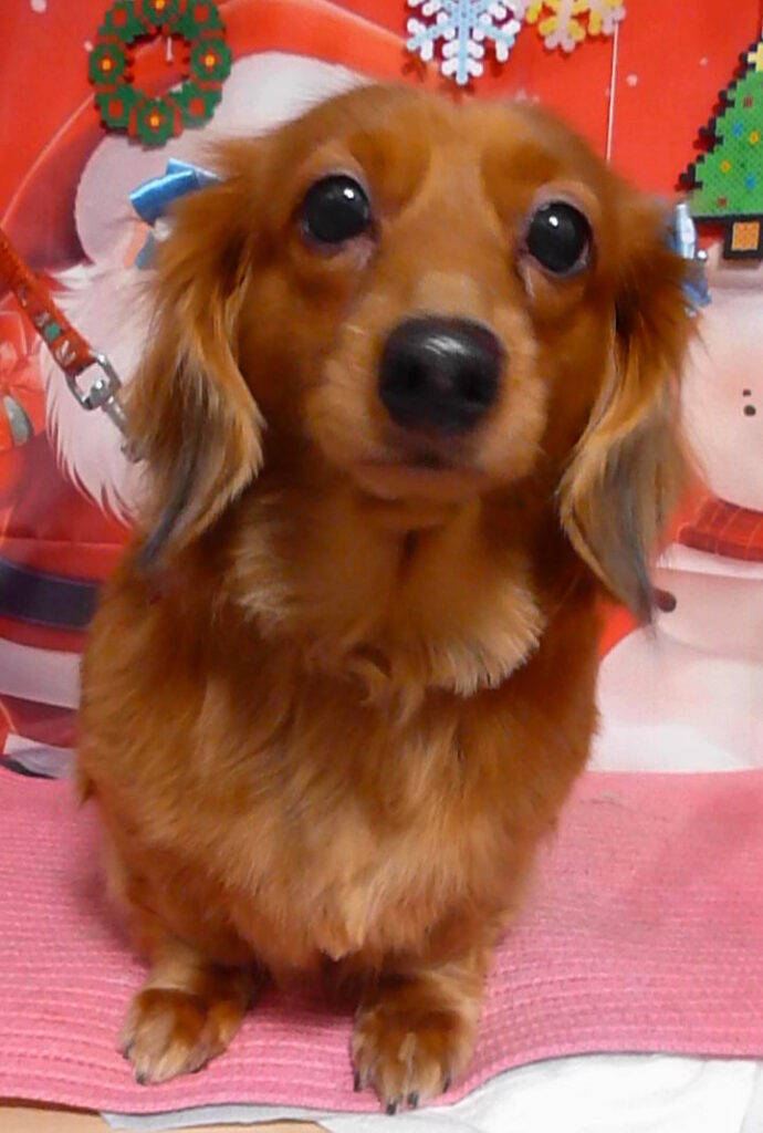 ララちゃん＆リリちゃん