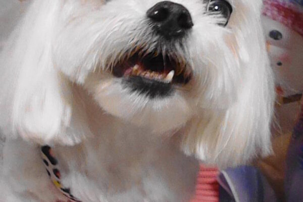 幸太郎くん＆希幸ちゃん