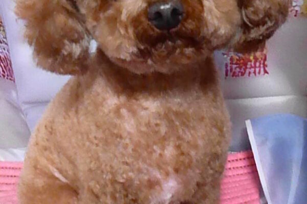 ムギちゃん＆スズちゃん＆ナナちゃん