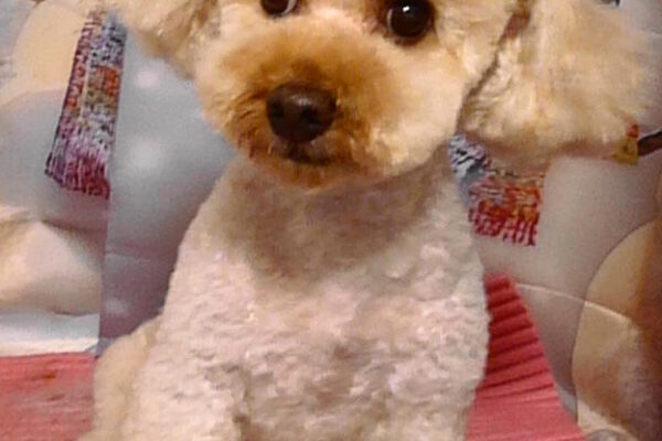 モナちゃん＆ウィくん