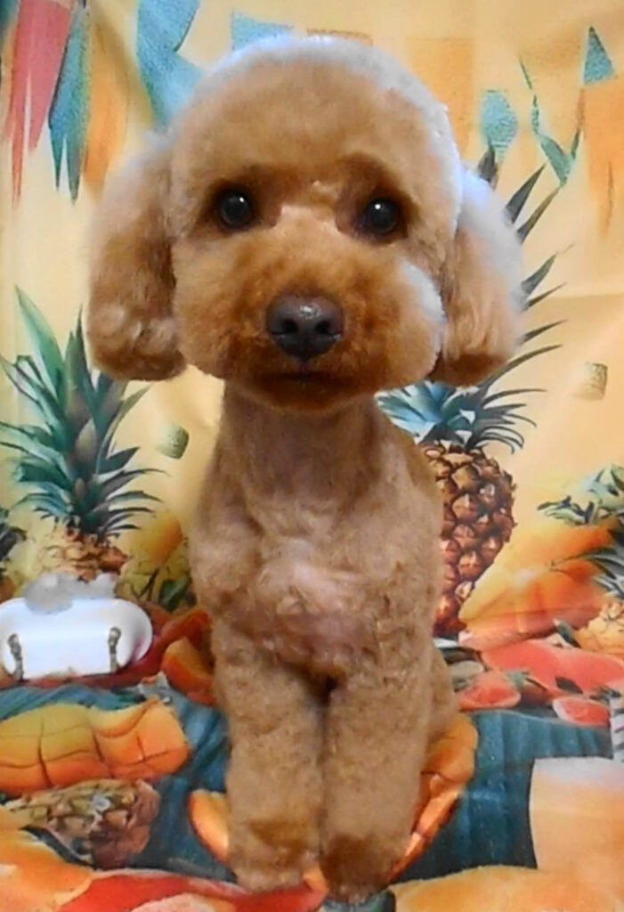 のあくん